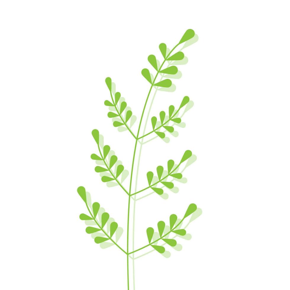 kvist med små grön löv. vektor illustration av växt. teckning av branchlet med skugga.