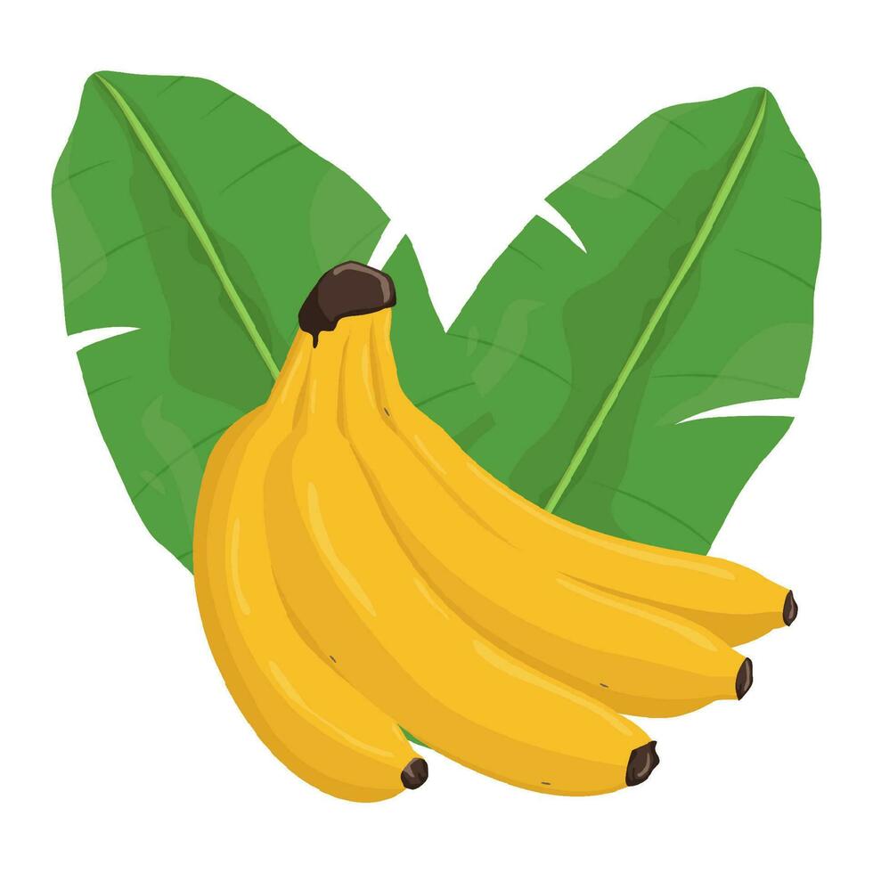 einstellen von Banane isoliert auf Weiß Hintergrund Blätter Vektor Element. einstellen von ganz, Schnitt im Hälfte, geschnitten auf Stücke