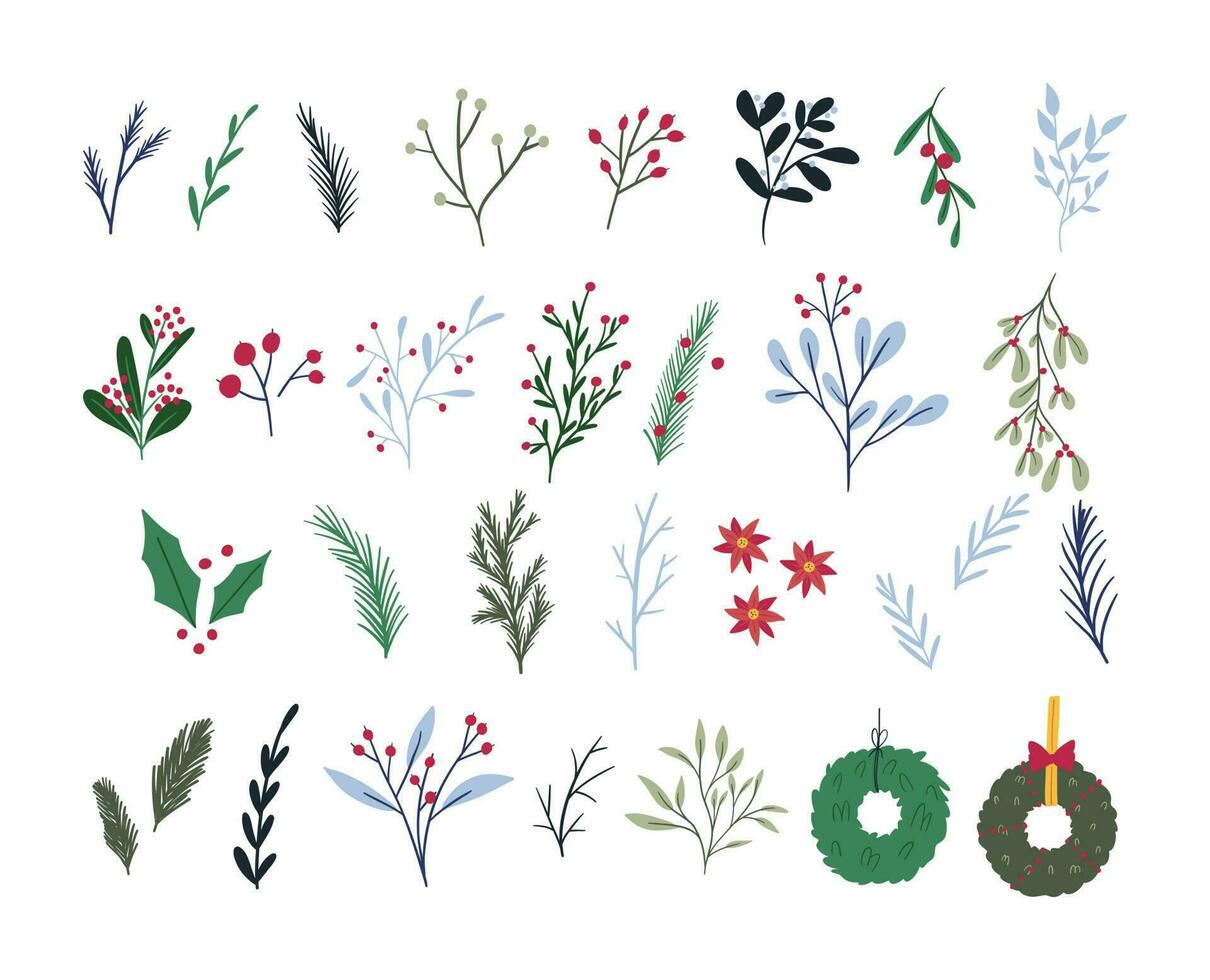 uppsättning av söt hand dragen vinter- botanik element, platt vektor illustration isolerat på vit bakgrund. olika grenar, blommor, bär och kransar. blommig jul dekoration samling.