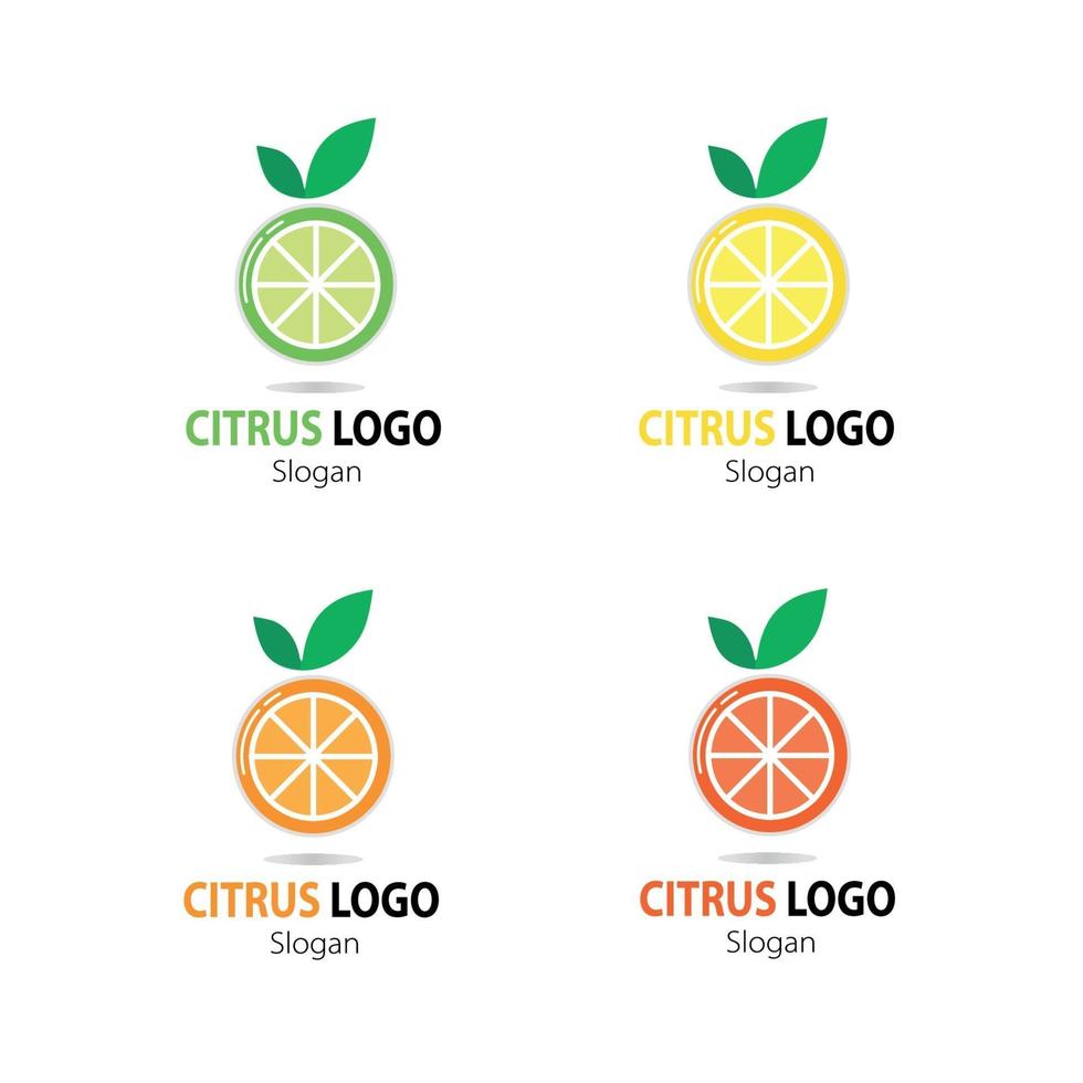 Citrus Logo Template Sammlung vektor