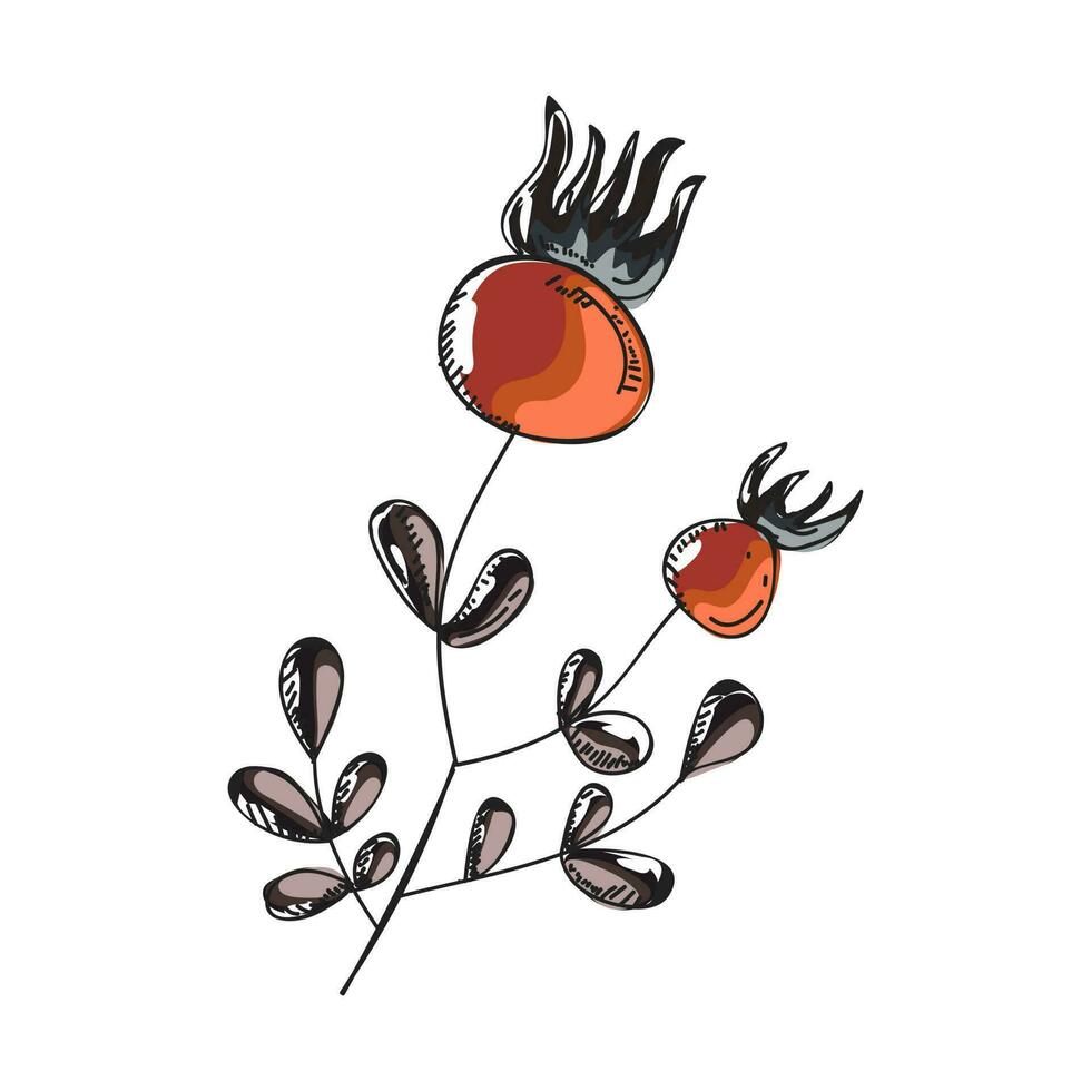 illustration av tomat med blad klotter element. vektor