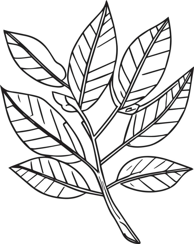 Hand gezeichnet botanisch Frühling Elemente Linie Kunst, botanisch Illustration botanisch Linie Zeichnung, Vektor skizzieren künstlerisch Einfachheit botanisch Gekritzel Kunst, einfach botanisch Zeichnung, botanisch Illustration