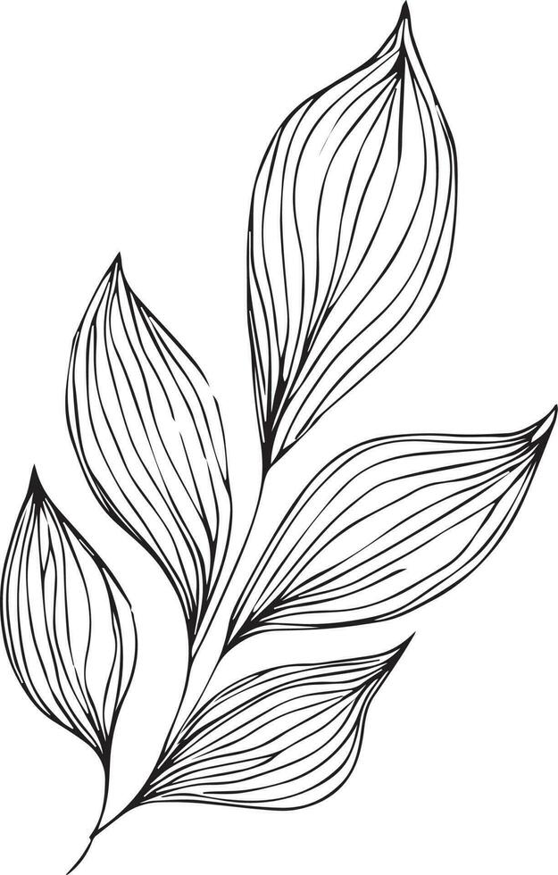 botanisk vektor illustration färg sida, enkelhet, utsmyckning, svartvit, vektor konst, översikt skriva ut med botanica blad av gren, botanisk löv, och knoppar, minimalis botanisk tatueringar.