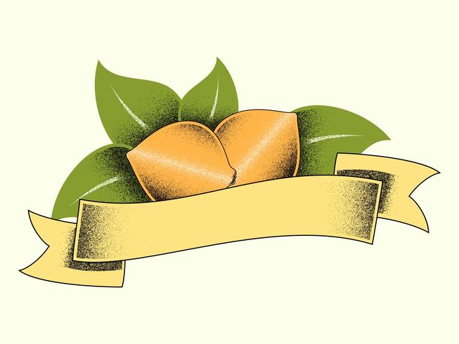 Einzigartige Vintage Citrus Illustrationen Vektoren