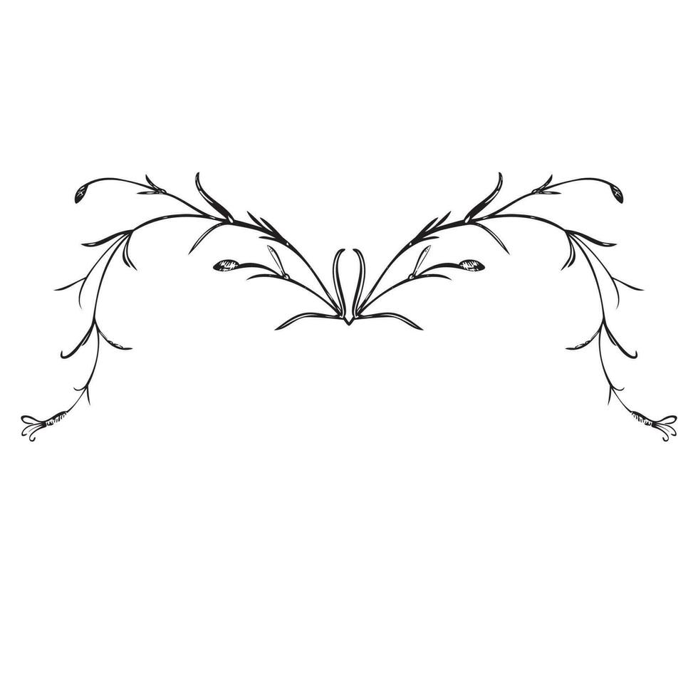 botanisk hand dragen växt, bukett isolerat på bakgrund. vår växt blomma årgång ram. kreativ klotter linjär stil. grafisk design bröllop inbjudan, kort, affisch, baner vektor illustration