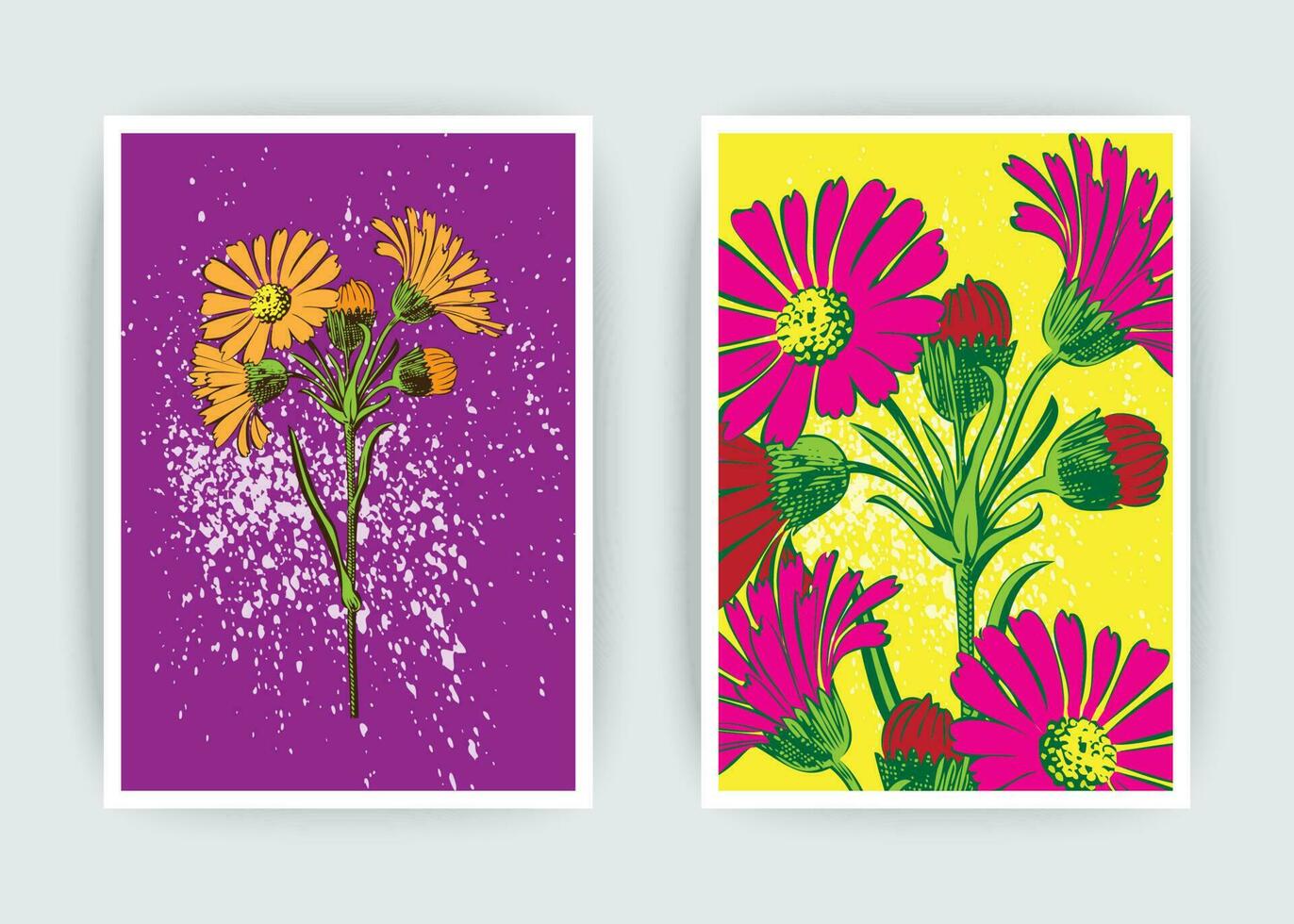 Hand gezeichnet Nahansicht Chrysantheme Blume künstlerisch Vektor Illustration. botanisch Hochzeit Ornament. Blütenblätter gemalt im Rosa. Blumen- modisch Muster Poster. dekorativ Gruß Karte Einladung Design bg