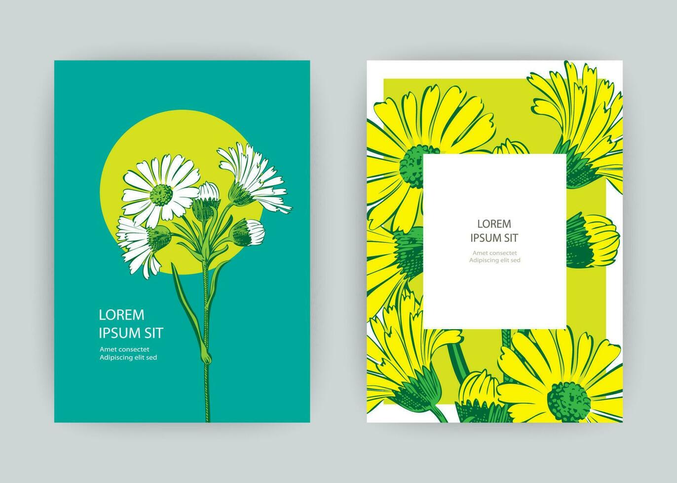 botanisk krysantemum blommor bukett vektor illustration grafisk design. årgång kreativ blomma ram. vektor illustration hälsning kort, design, affisch, skriva ut, fest, bröllop inbjudan, födelsedag