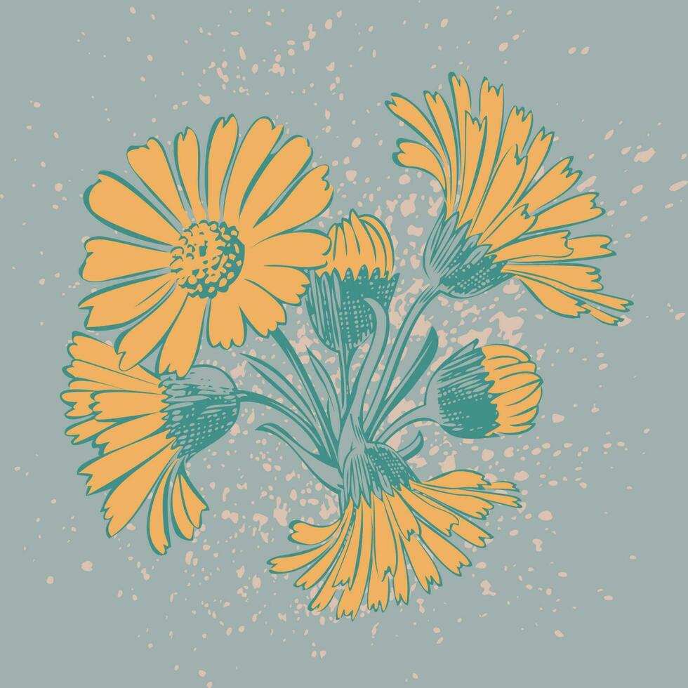 attraktivt anordnad knippa av blommor. dragen krysantemum blommor konstnärlig vektor illustration. blommig botanisk bröllop prydnad trendig mönster design med vattenfärg spray. dekorativ bakgrund