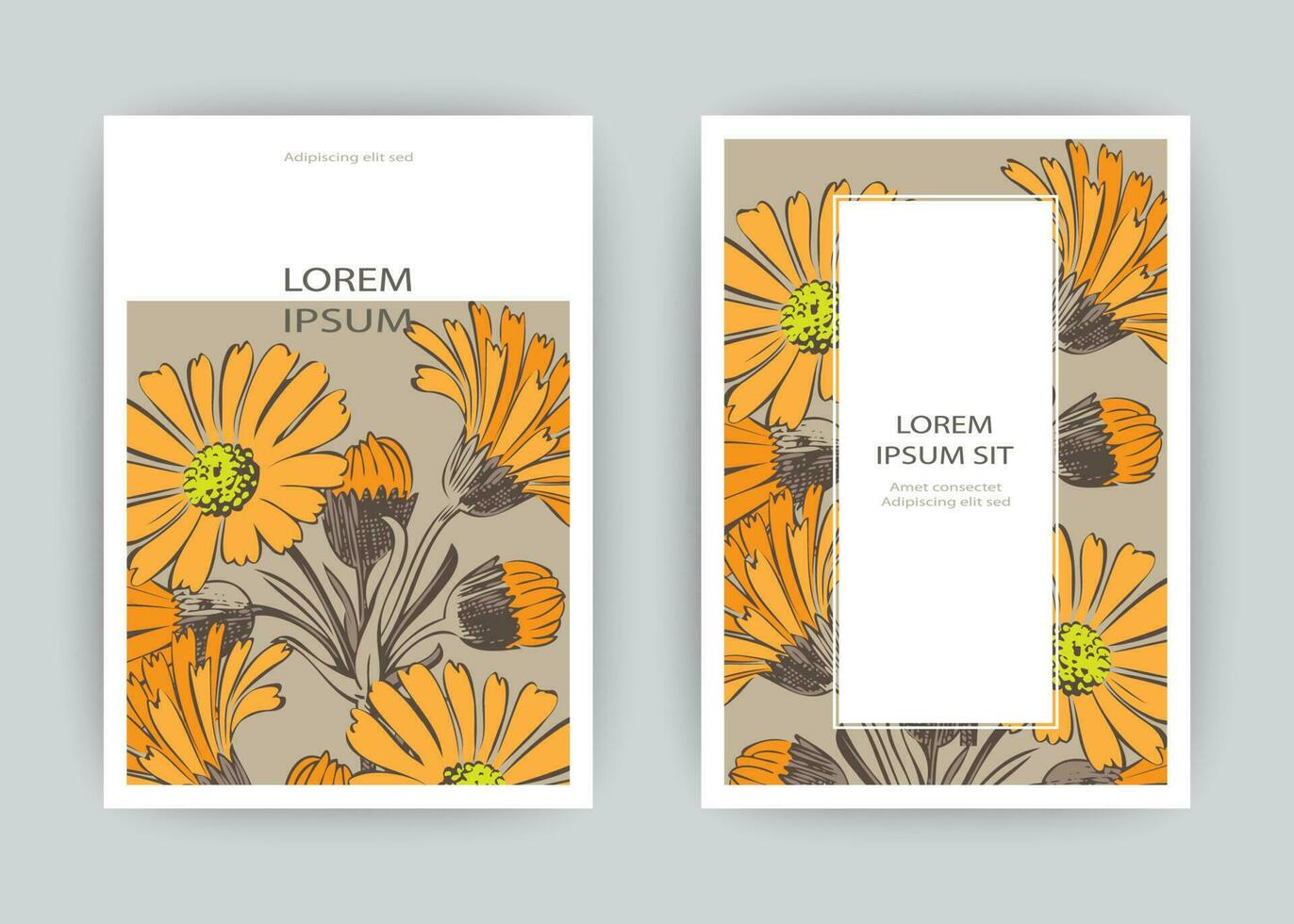 botanisk krysantemum blommor bukett vektor illustration grafisk design. årgång kreativ blomma ram. vektor illustration hälsning kort, design, affisch, skriva ut, fest, bröllop inbjudan, födelsedag