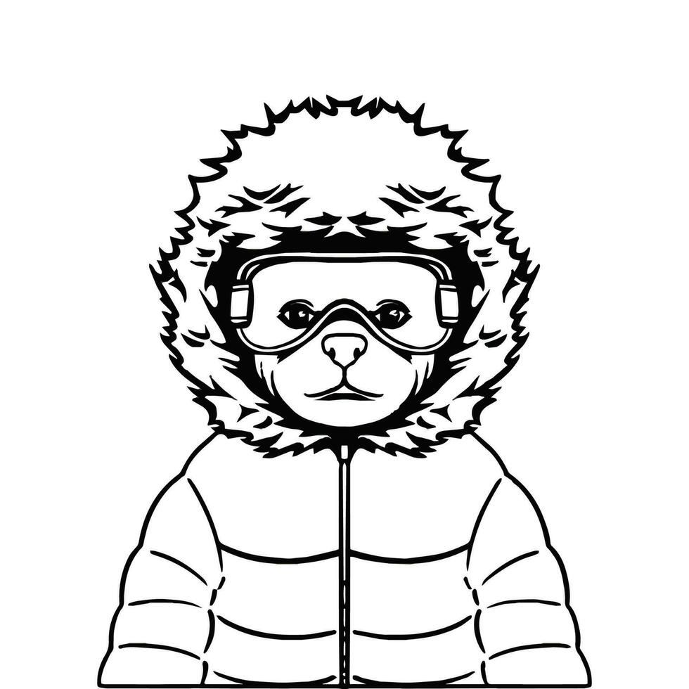 Vektor Illustration Gliederung schwarz von ein Bär Snowboarder im ein Winter Jacke und Brille