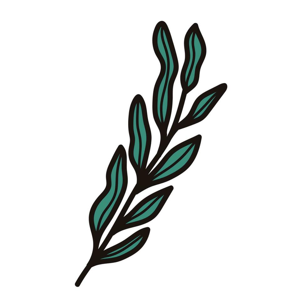 Hand gezeichnet Palme Blätter von das oben Aussicht im Gekritzel Stil vektor