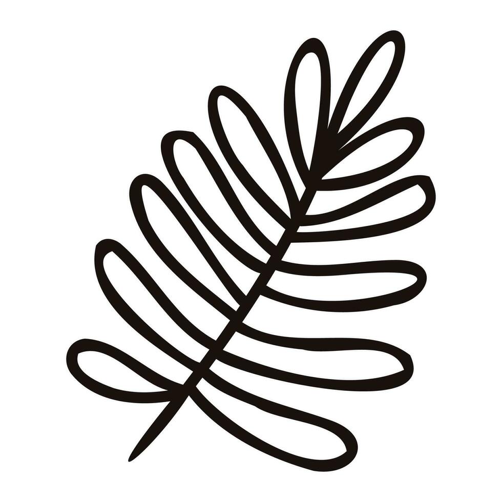 Hand gezeichnet Palme Blätter von das oben Aussicht im Gekritzel Stil vektor