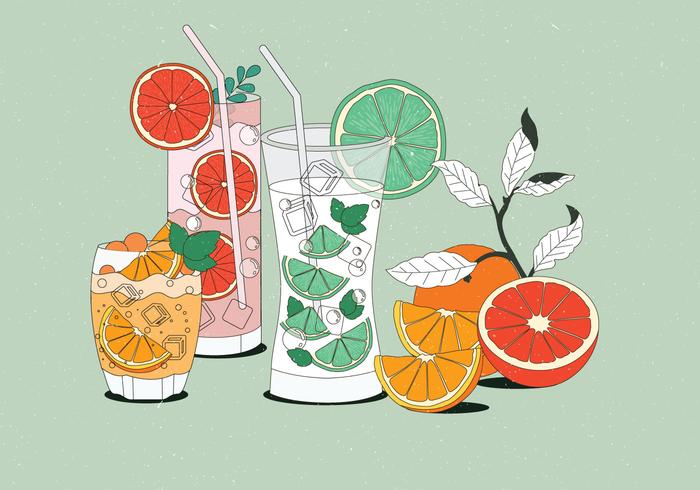 Vintage Citrus Dryck Illustrationer Vector