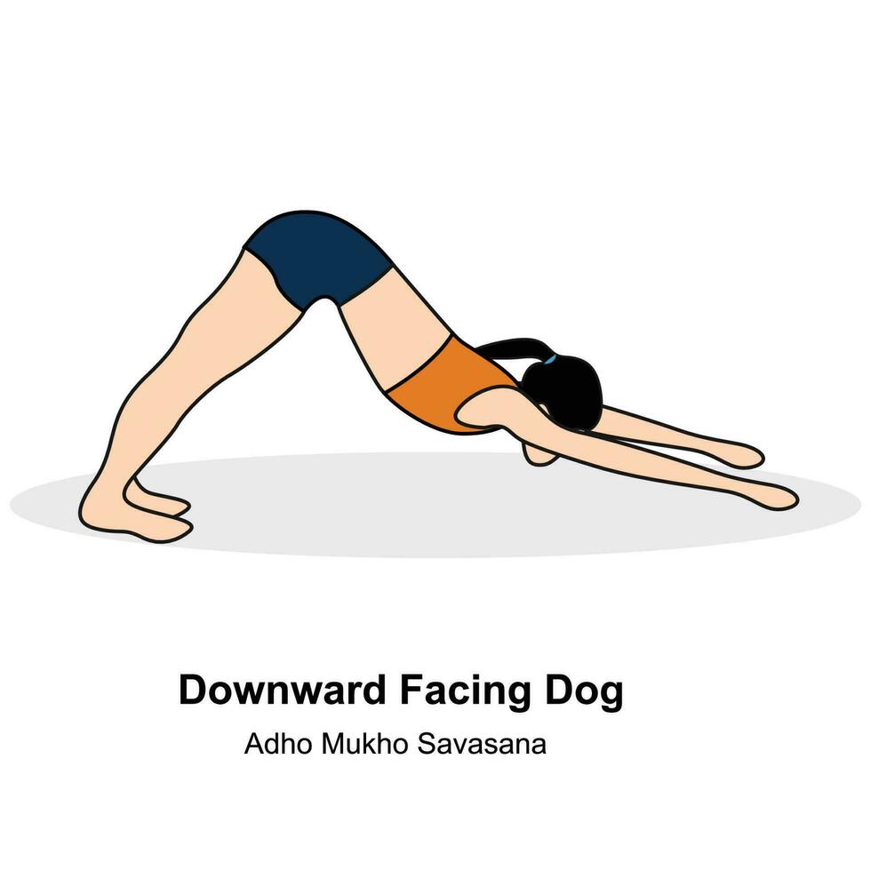 kvinna håller på med yoga.nedåt vänd hund pose.pro vektor illustration.