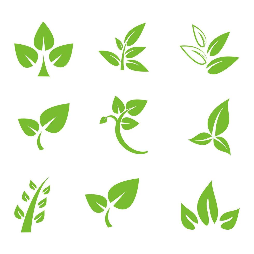 ikon logotyp naturlig, ört, organisk, ekologi, löv. vektor