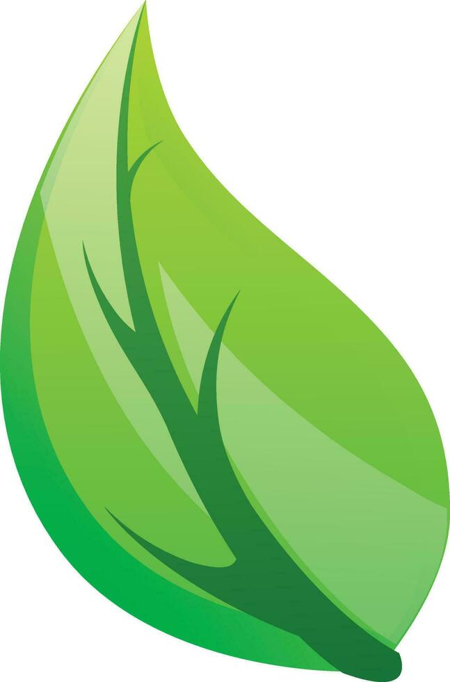 vektor illustration av grön blad ikon.