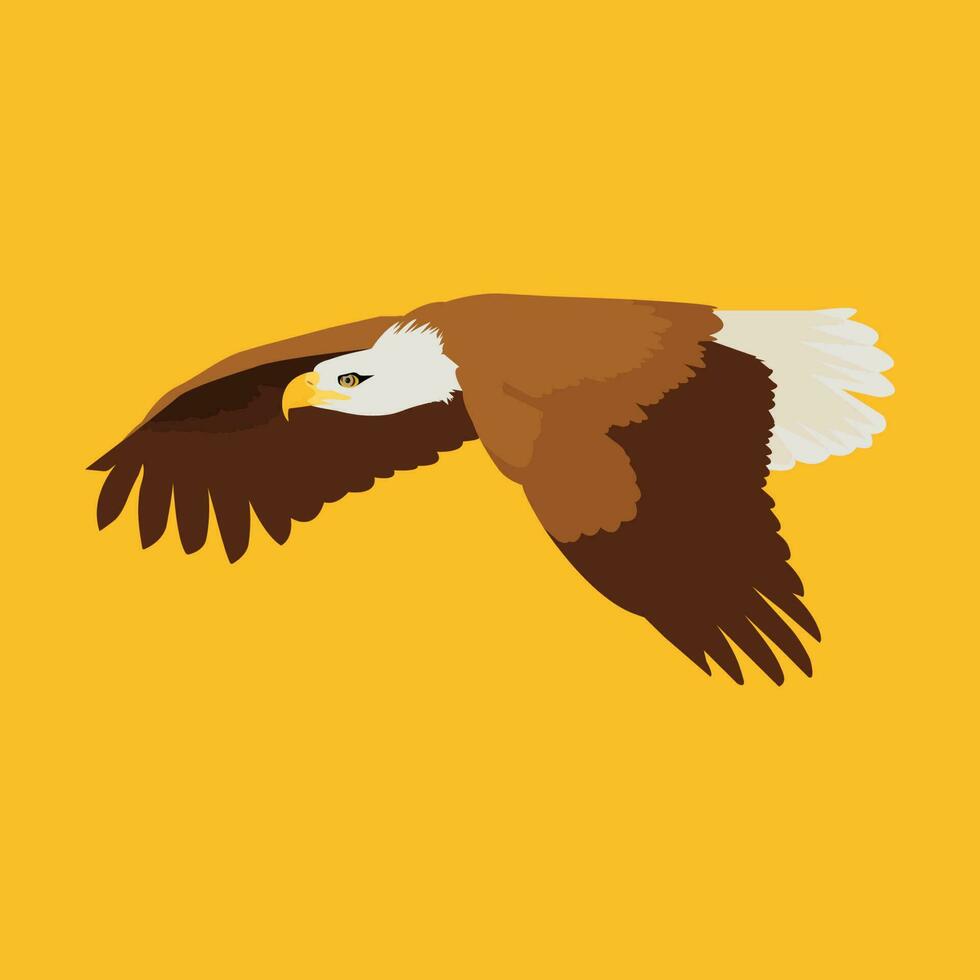 eagles flyga i de himmel illustration vektor. vektor