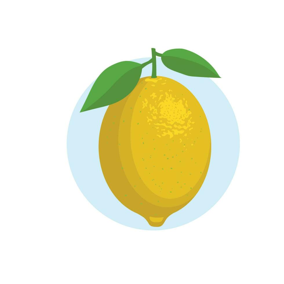 färsk citron- frukt vektor illustration