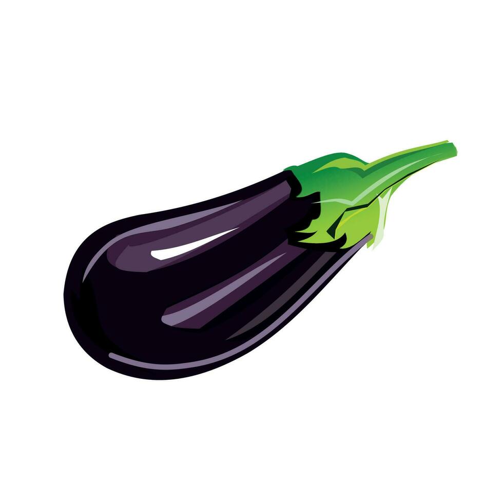 Illustration von ein verbreitet Aubergine vektor