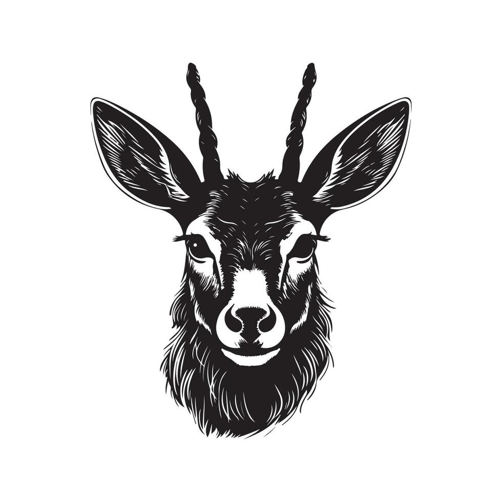 Moschus Reh, Jahrgang Logo Linie Kunst Konzept schwarz und Weiß Farbe, Hand gezeichnet Illustration vektor