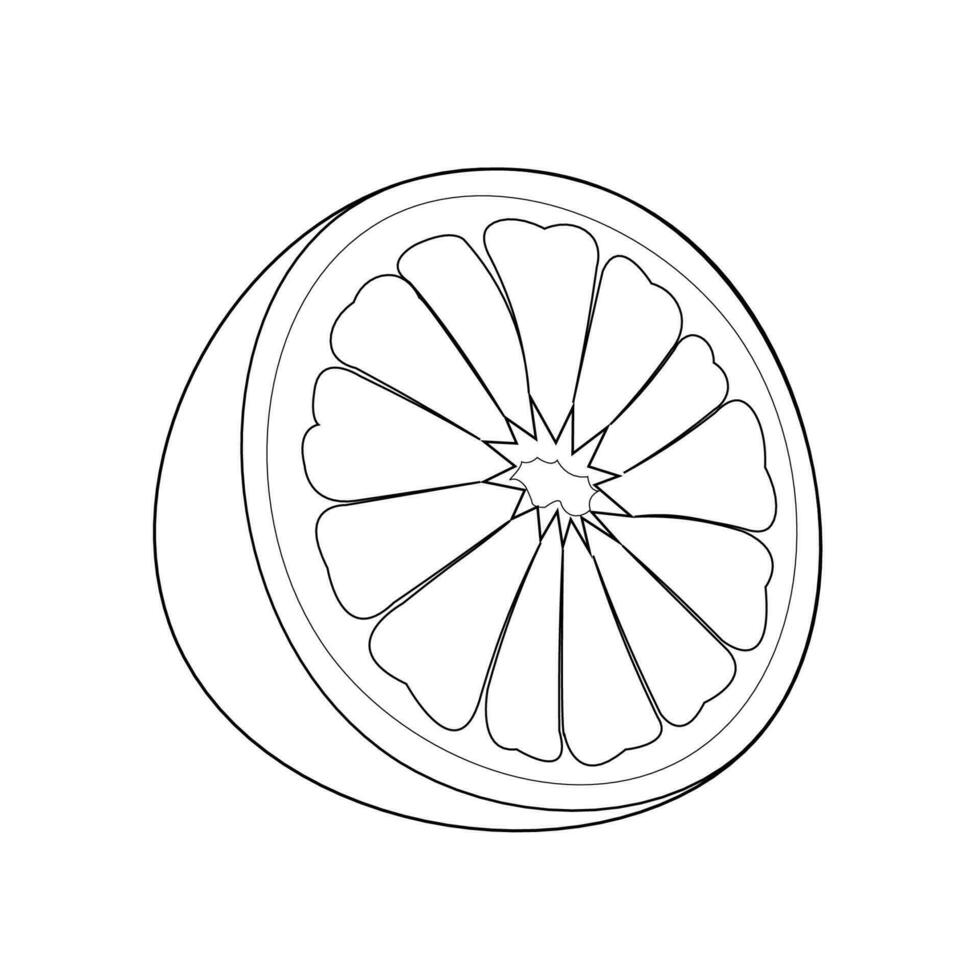 vektor illustration av en grapefrukt. rader konst tropisk frukt, klotter realistisk