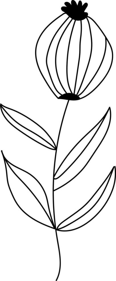 illustration av en blomma, svart och vit blomma, botanisk vektor, översikt, illustration, natur, blomma, sommar vektor