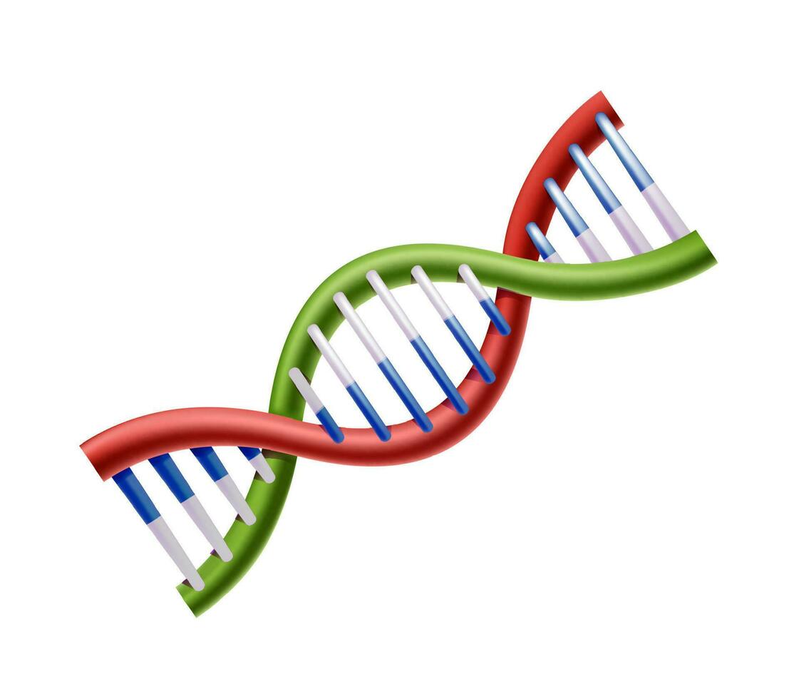 3d realistisk vektor ikon av dna. medial begrepp och element.