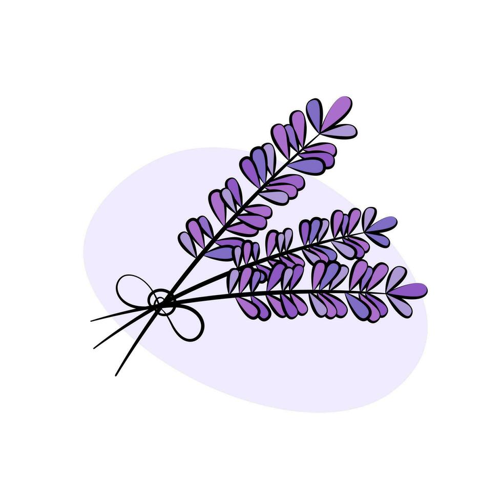 Lavendel Blumen Vektor Illustration. süß Hand gezeichnet Lavendel Zweige gebunden im Bündel