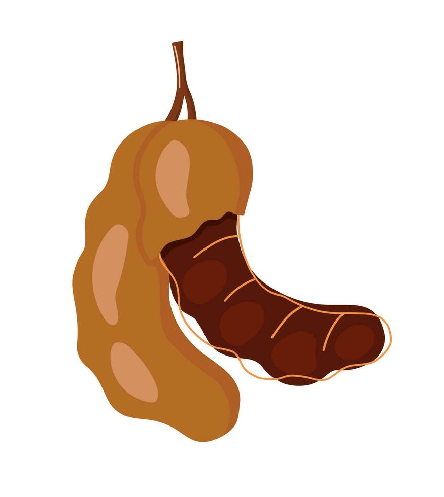 Tamarinde Obst Symbol Gekritzel Hand Zeichnung Karikatur Vektor Illustration