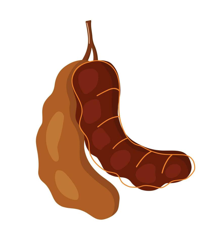 Hand Zeichnung Tamarinde Obst Symbol Gekritzel Karikatur Vektor Illustration