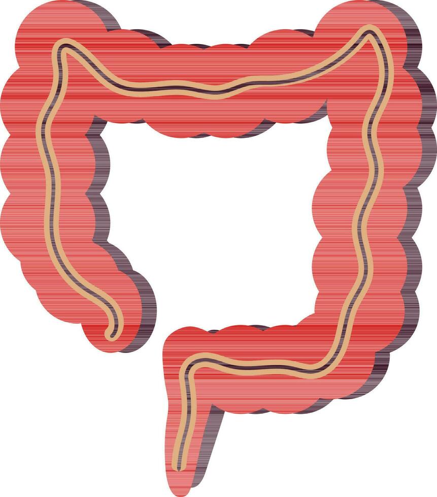 Bild von groß Darm Symbol von Körper Teil. vektor