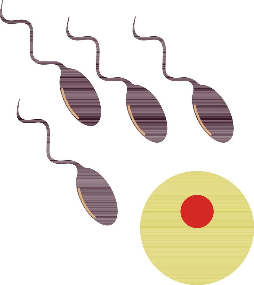 bild av sperma som förs in i till fröämne i Färg. vektor