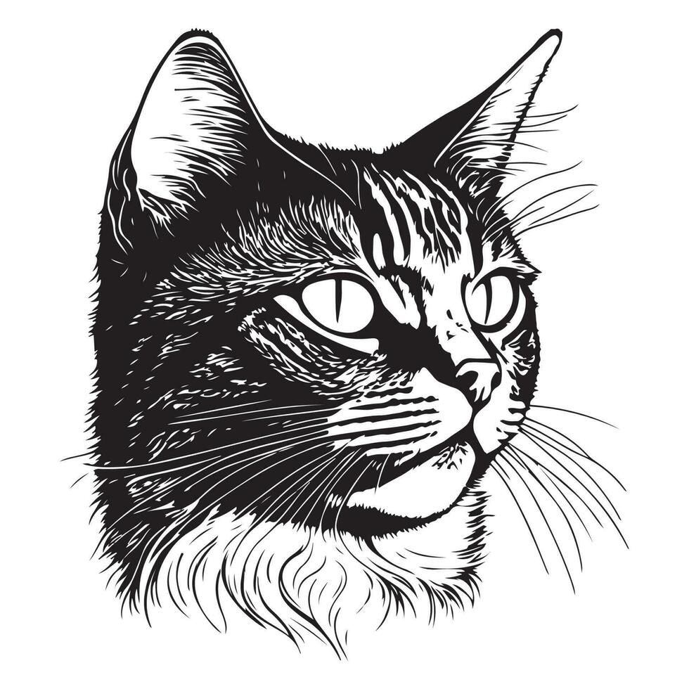 Katze Gesicht Logo, Katze Gesicht Vektor, Katze Gesicht skizzieren isoliert auf Weiß Hintergrund vektor