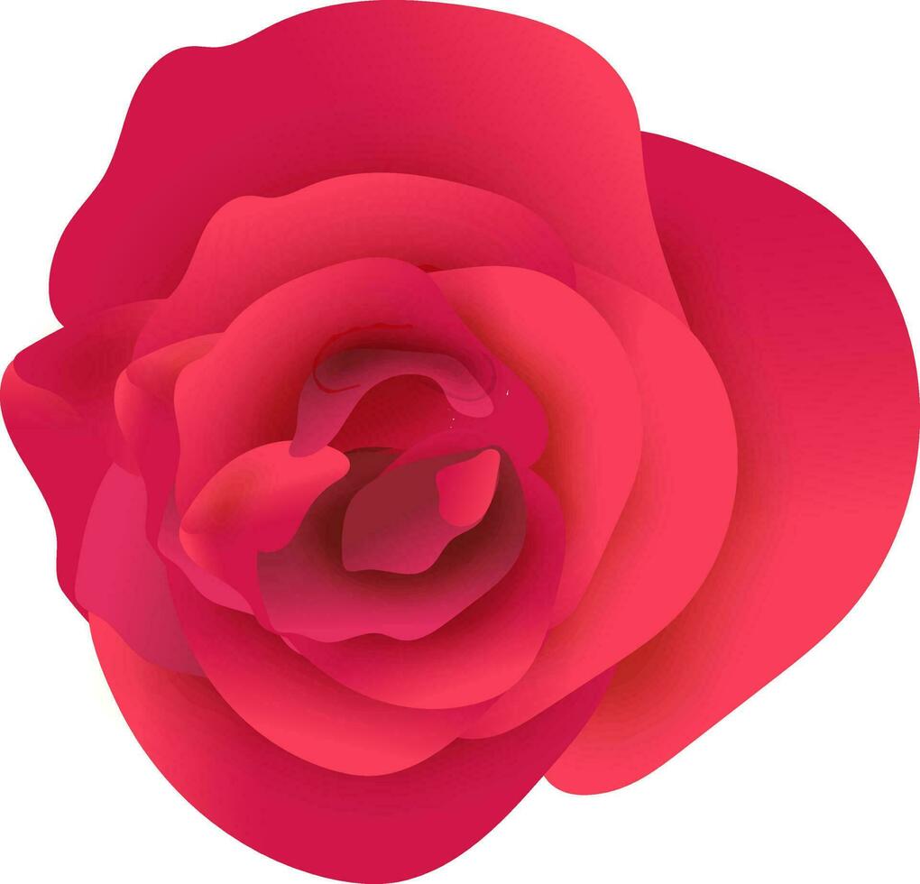 realistisch rot Rose Blume auf Weiß Hintergrund. vektor