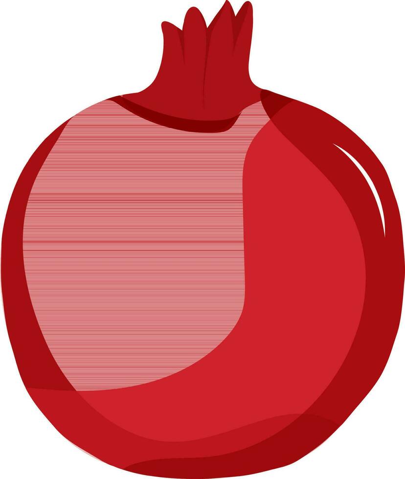 Illustration von ein glänzend rot Granatapfel. vektor