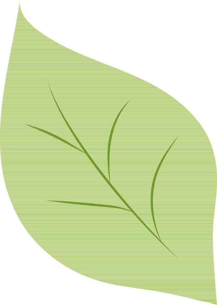 grönt blad på vit bakgrund. vektor