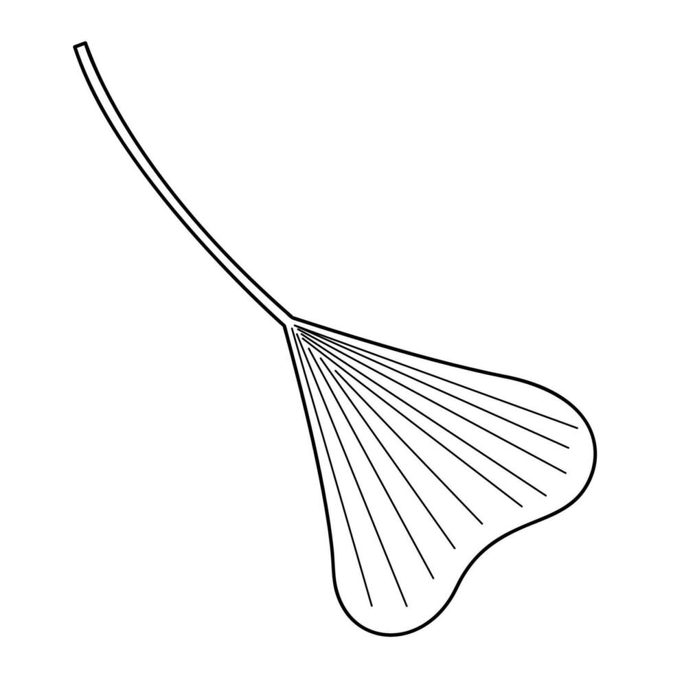 handflatan blad i klotter stil9. svart och vit vektor illustration.