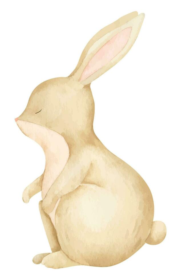 söt vattenfärg kanin. hand dragen illustration av kanin på vit isolerat bakgrund för bebis dusch hälsning kort eller inbjudningar. teckning av skog liten hare för unge affisch i pastell färger vektor