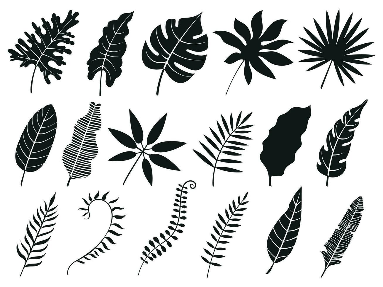 Palme Blatt Silhouette. Monstera Wedel, Pflanze Blätter Silhouetten und tropisch Palmen Wedel isoliert Vektor Symbole einstellen