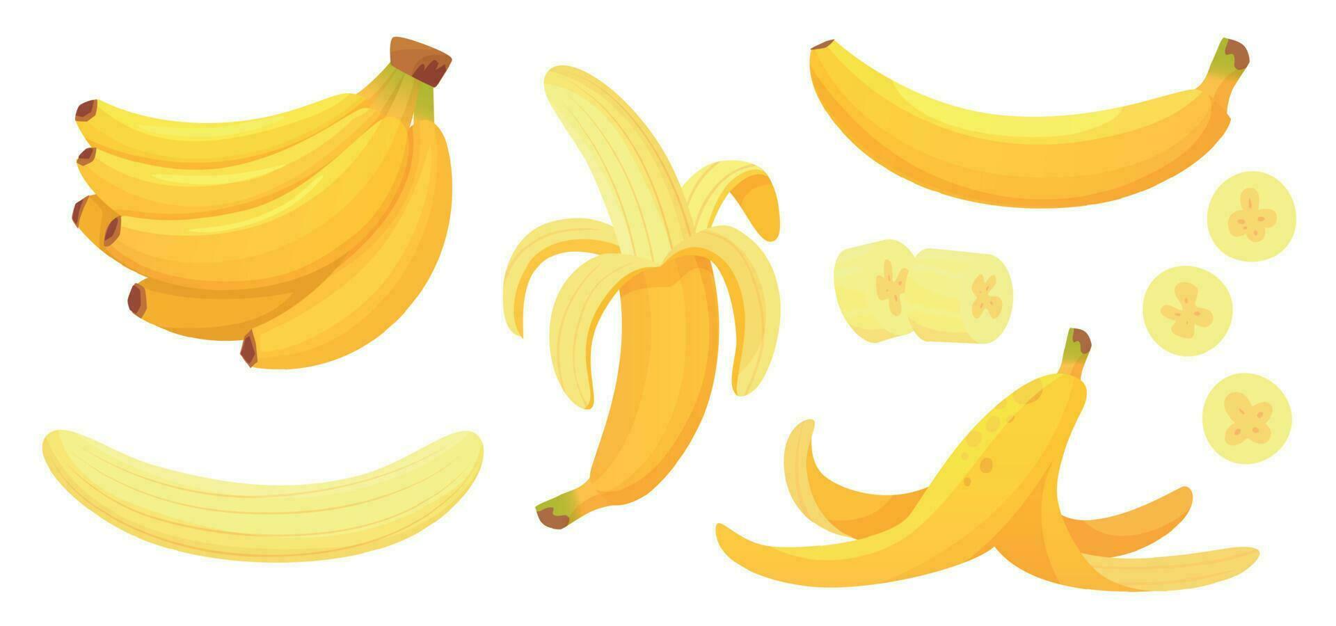 Karikatur Bananen. schälen Banane, Gelb Obst und Bündel von Bananen isoliert Vektor Illustration einstellen