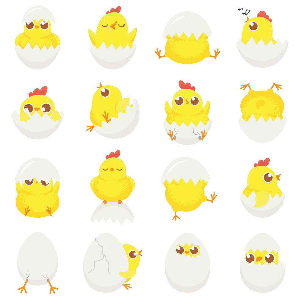 söt kyckling i ägg. påsk bebis brud, nyfödd kycklingar i äggskal och bruka barn kycklingar isolerat tecknad serie vektor illustration uppsättning