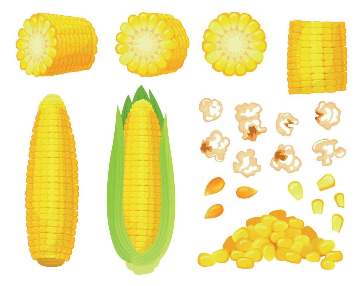tecknad serie majs. gyllene majs skörda, popcorn corny korn och ljuv majs. öra av majs, utsökt grönsaker vektor illustration uppsättning