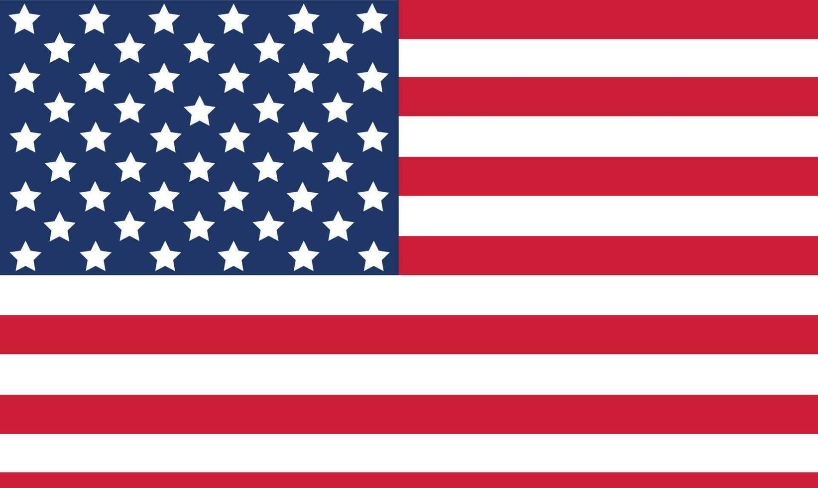 Vektorbild der amerikanischen Flagge vektor