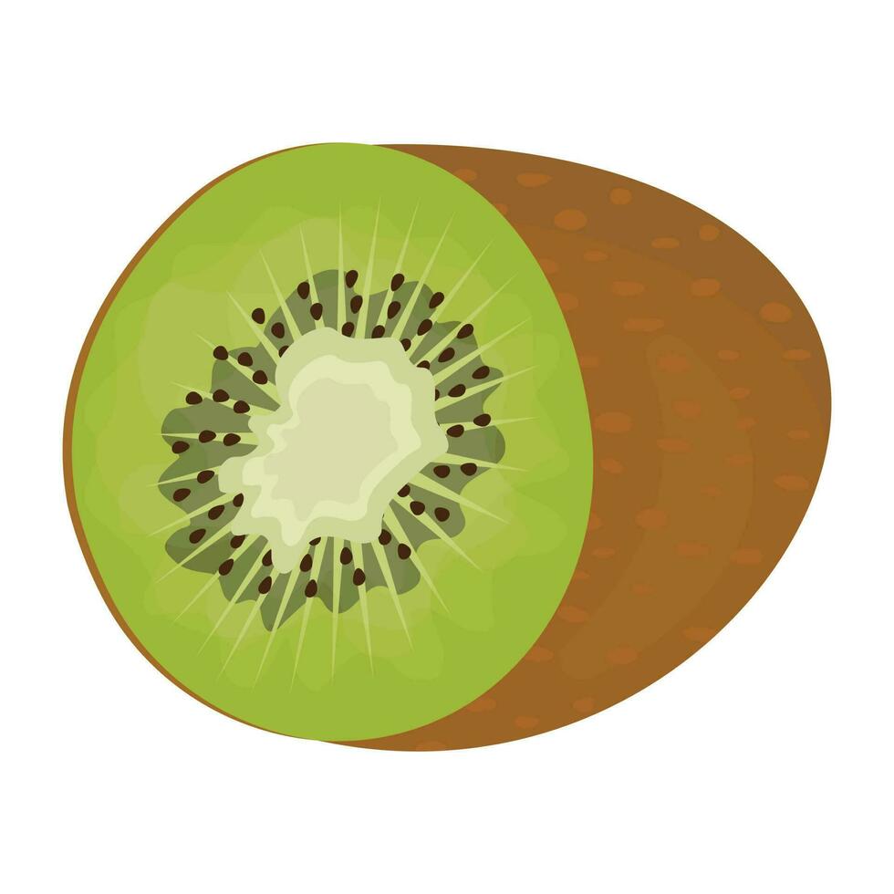 ein frisch runden gestalten Obst haben klein Saat Innerhalb abbilden Kiwi Obst vektor