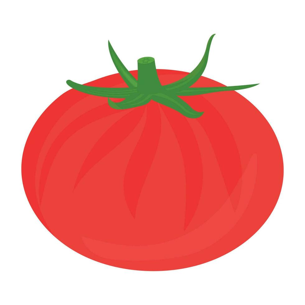 runda röd cirkel med grön krona, tomat ikon vektor