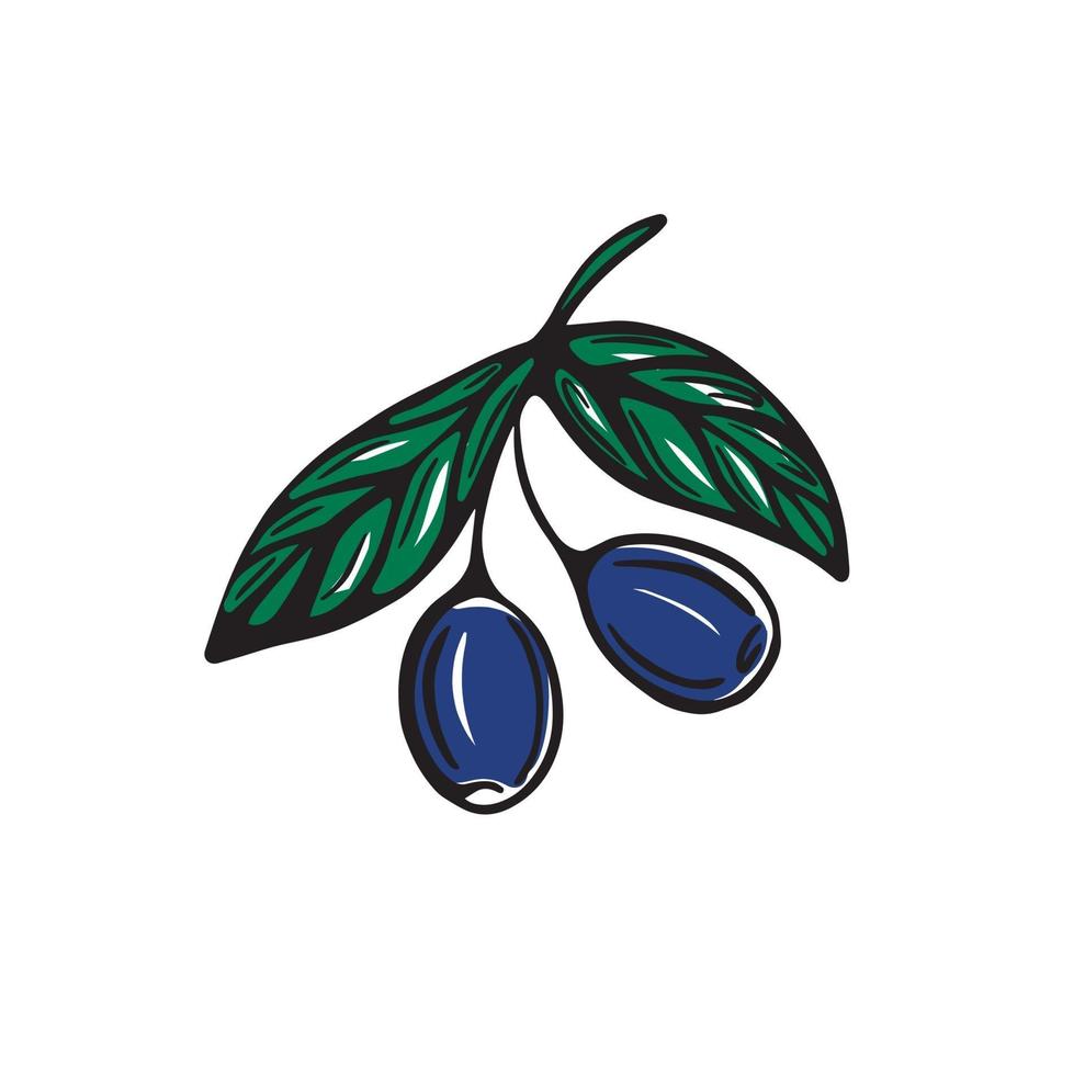 en handritad gren med oliver isolerad på en vit bakgrund. vektor illustration i doodle stil