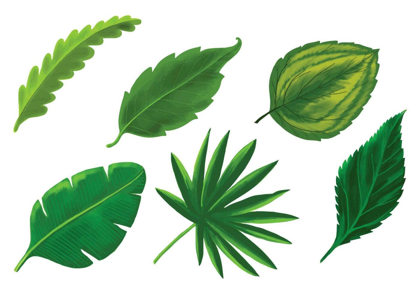 tropisk annorlunda typ exotisk löv uppsättning design vektor