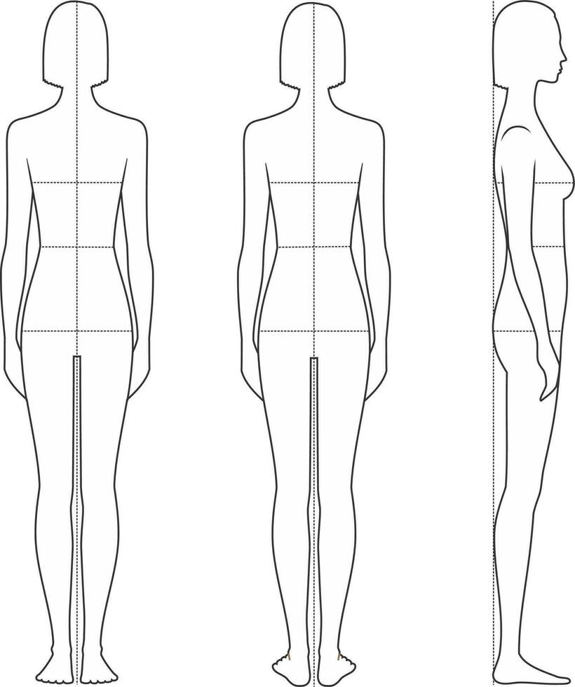 Damen Figur. Körper Proportionen zum Nähen Kleidung. Büste, Taille, Hüften Linien. weiblich Silhouette. Vorderseite, zurück, Seite Ansichten. Vektor Illustration.