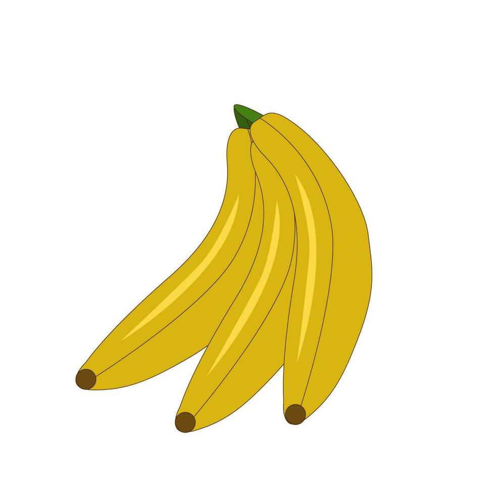 saftig Bananen auf ein Ast. Vektor Illustration Symbol isoliert auf Weiß Hintergrund. Sommer- Früchte