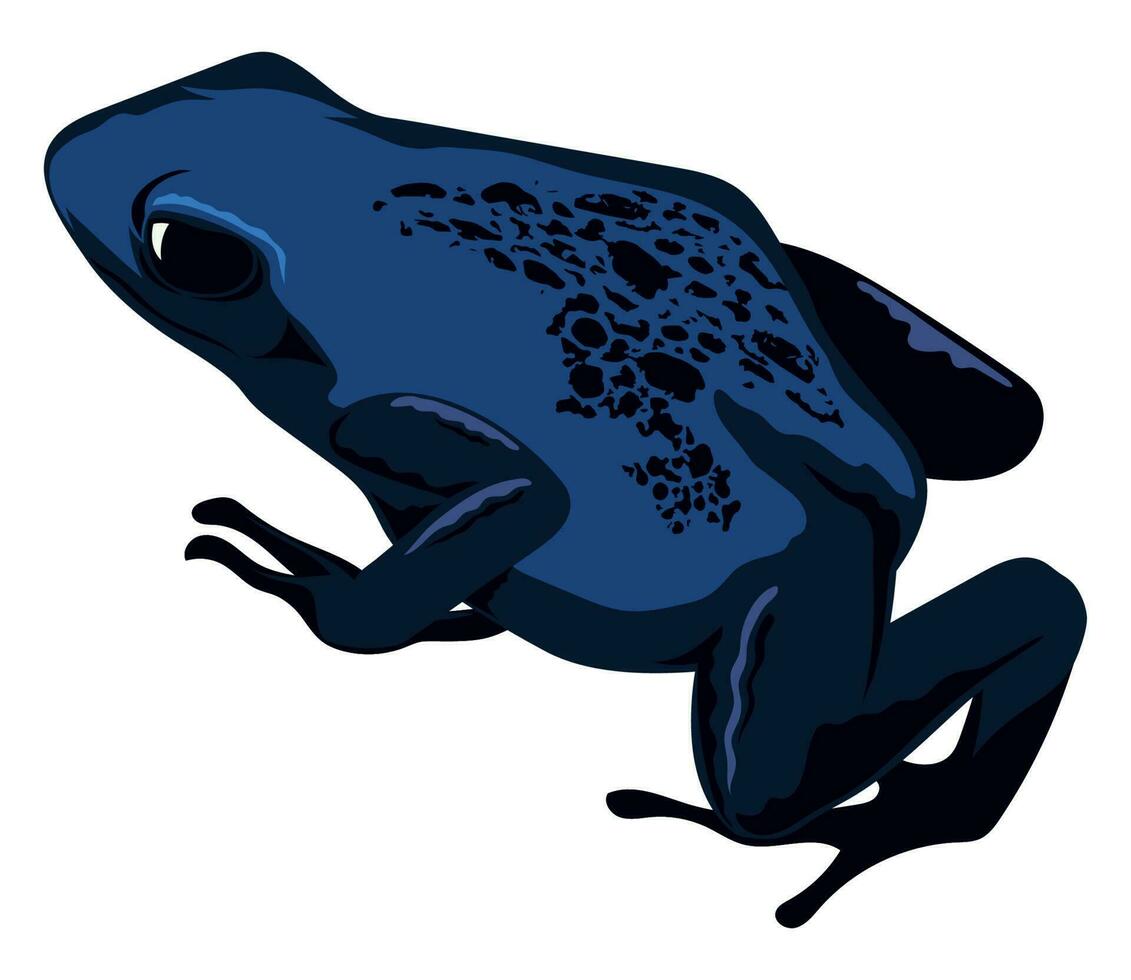 Blau Frosch Amphibie exotisch Tier vektor